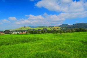 The Mother Of All Valleys On The Big Island Of Hawaii X Days In Y