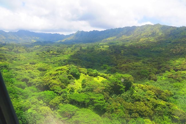 Aerial View Hiva Oa Marquesas Islands French Polynesia airport approach 3