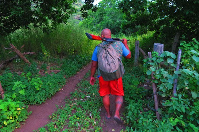 Alvane hunting at dusk Nuku Hiva Marquesas Islands French Polynesia