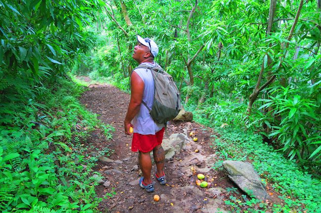 Anaho Bay hike getting mango Nuku Hiva Marquesas Islands French Polynesia