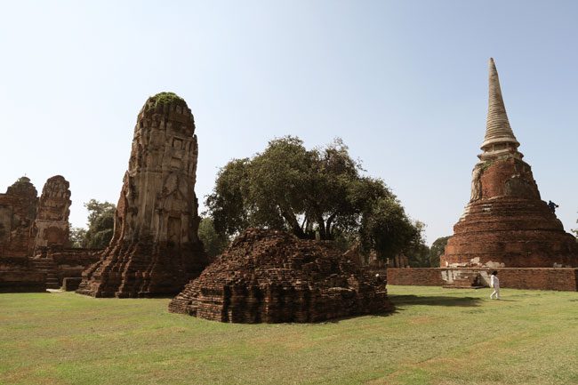 ayutthaya-thailand-temple-complex