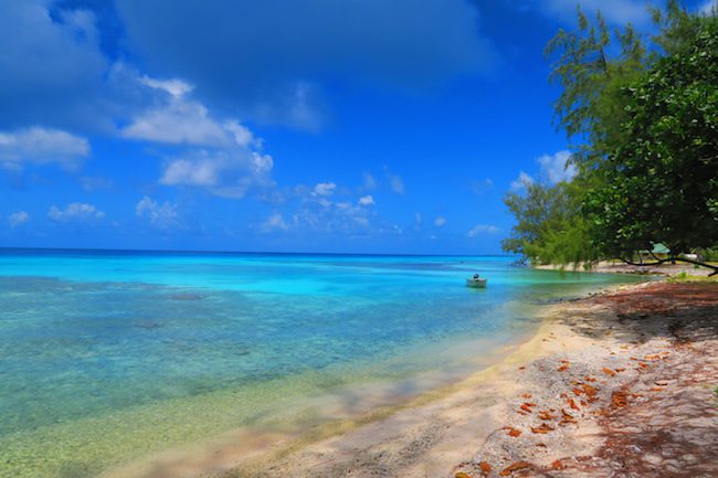 Beach in Rangiroa French Polynesia