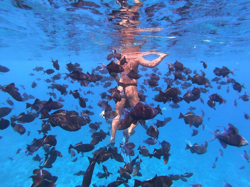 Bora Bora lagoon tour