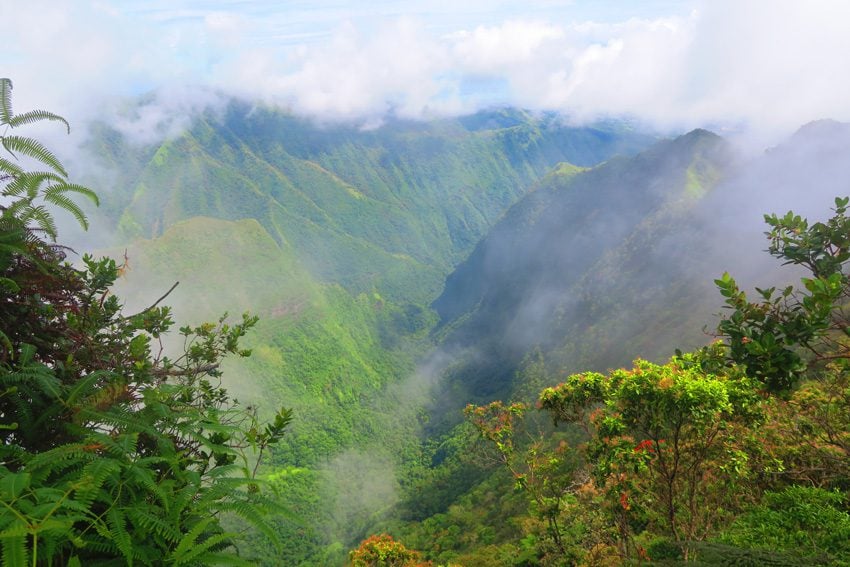 Clouds in Valley - Mount Aorai Hike - Tahiti - French Polynesia