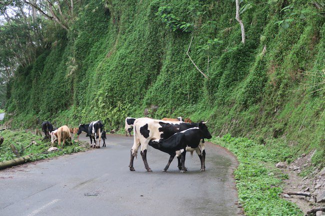 Driving from airport Nuku Hiva Marquesas Islands French Polynesia