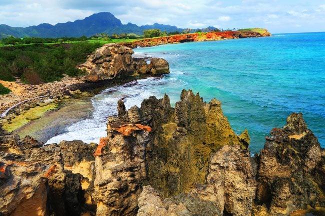 Eroded sharp limestone sea cliffs - Maha'ulepu Heritage Trail - Kauai, Hawaii