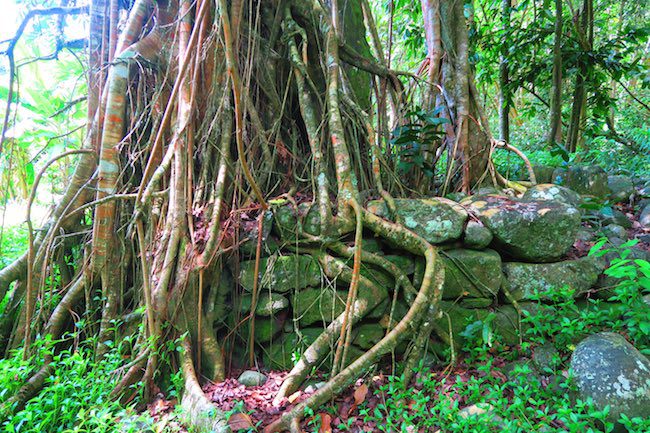 Hakaui Valley Vaipo Waterfall hike ancient village Nuku Hiva Marquesas Islands French Polynesia