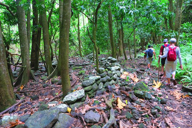 Hakaui Valley Vaipo Waterfall hike walking through rainforest Nuku Hiva Marquesas Islands French Polynesia