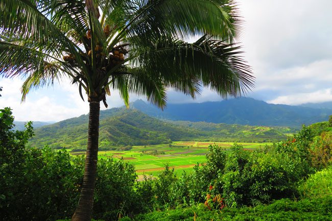 Hanalei Valley Lookout - Kauai, Hawaii