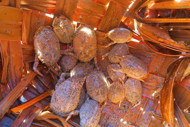 Hanatekuua Bay Hike Hiva Oa Marquesas Islands French Polynesia crabs