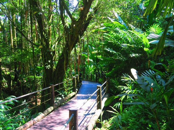 Hawaii Tropical Botanical Gardens - Big Island_1