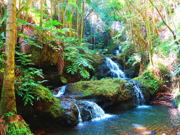 Hawaii Tropical Botanical Gardens - Big Island_4