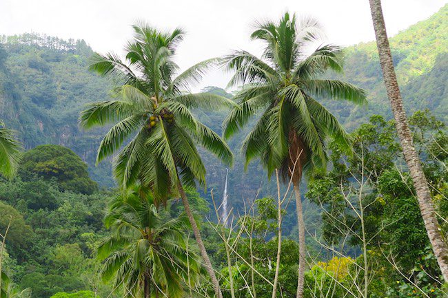 Hidden waterfall Nuku Hiva Marquesas Islands French Polynesia