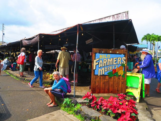 Hilo Farmers Market - Big Island Hawaii_1