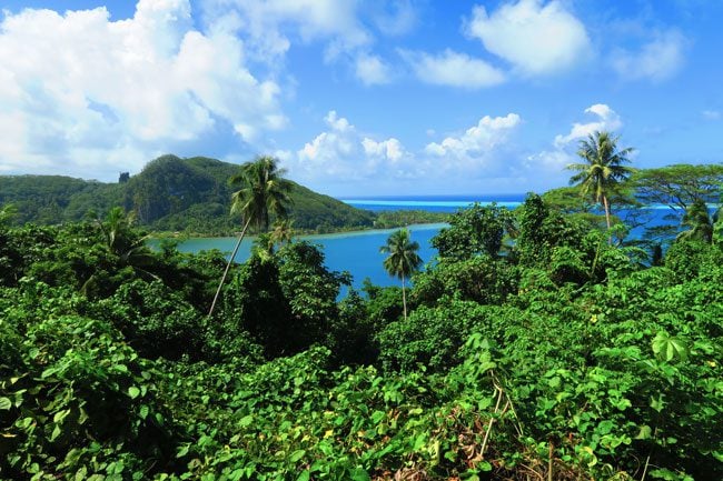 Hotopu Bay Raiatea Island French Polynesia