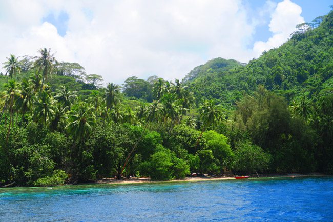 Joe Dassin tropical beach tahaa french polynesia