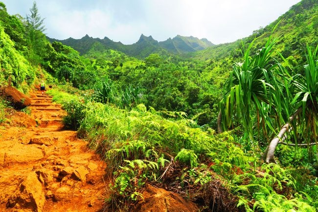 Kalalau Trail Na Pali Coast - Kauau Hawaii - steep trai