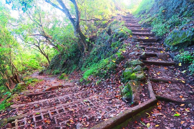 Kalaupapa Trail - Molokai Hike Hawaii