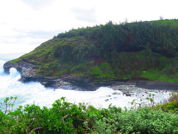 Kilauea Point National Wildlife Refuge - Kauai Hawaii - cliffs
