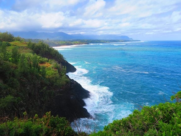 Kilauea Point National Wildlife Refuge - Kauai Hawaii - waves