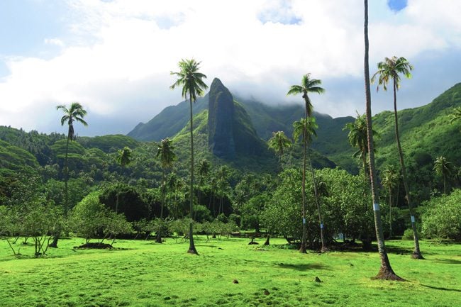 Massive cliff Raiatea Island French Polynesia