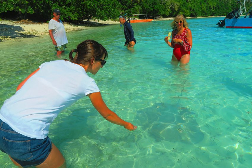 Maupiti - French Polynesia - Feeding Stingrays - Sammy Maupiti Tour