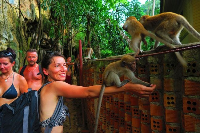 monkeys-in-railay-beach-thailand-3