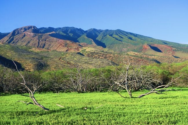 Mountains of Molokai - Hawaii