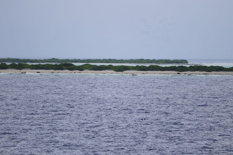 Oheno Atoll - Pitcairn Islands - beach