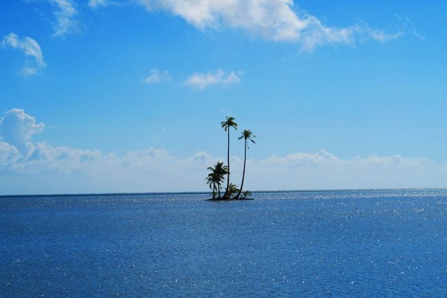 Palm trees in tiny island Raiatea Island French Polynesia