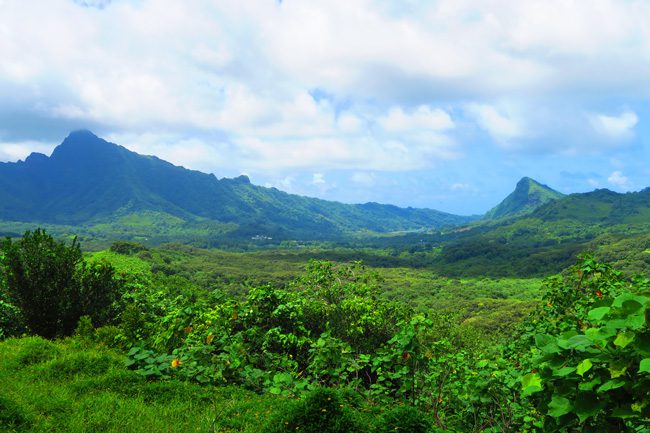 Panoramic view from belvedere Raiatea Island French Polynesia