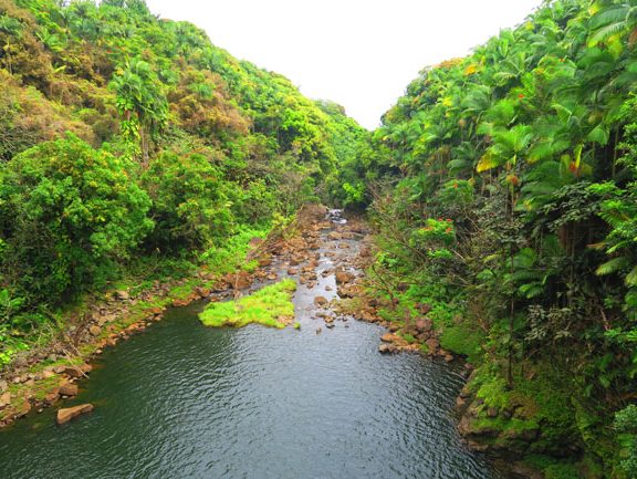 Pepe’ekeo Scenic Drive - hike to secret waterfall - Big Island Hawaii_4