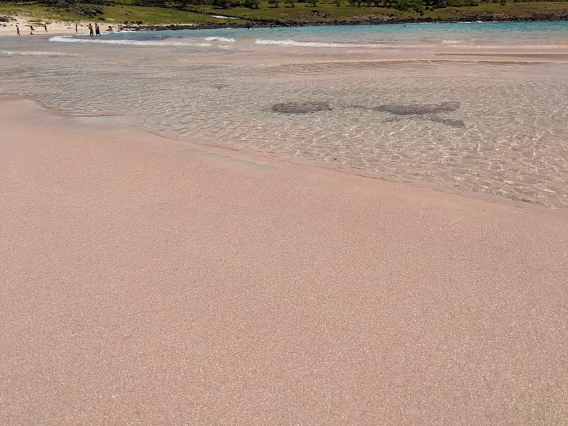 Pink sand - Anakena Beach - Easter Island
