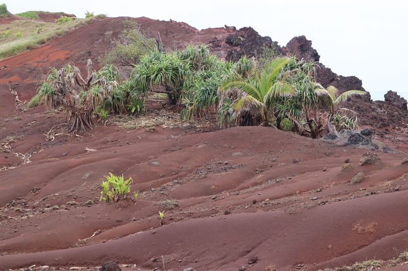 Pitcairn Island - red soil earth