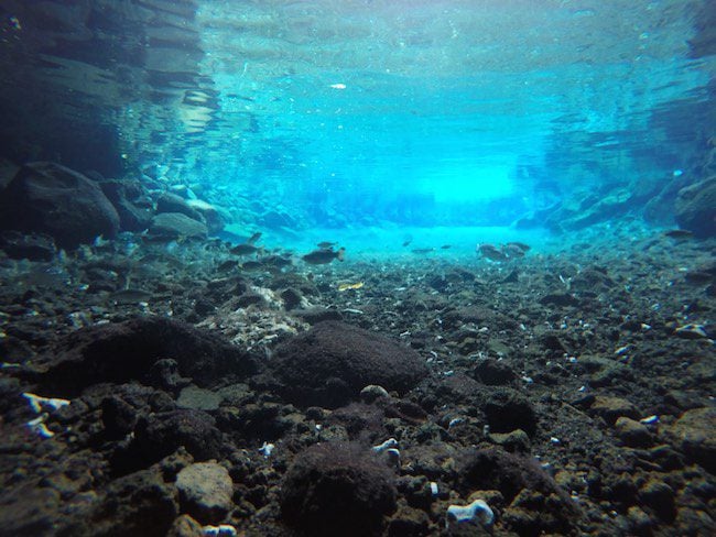 Piula-Cave-Pool-Samoa-clear-water