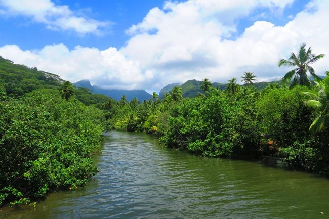 Raiatea Island French Polynesia river