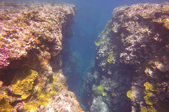 Snorkeling-Off-Tanna-Evergreen-Resort-In-Vanuatu-Chasm