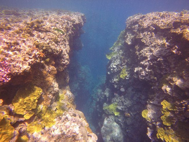 Snorkeling-Off-Tanna-Evergreen-Resort-In-Vanuatu-Chasm