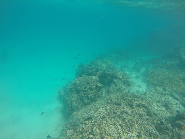 Snorkeling matira beach bora bora french polynesia