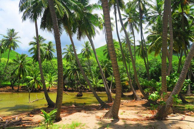 Tahuata Day Trip Hiva Oa Marquesas Islands French Polynesia Hanamoenoa Bay palms