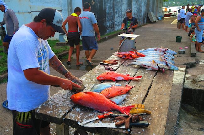 Taiohae village cleaning fish Nuku Hiva Marquesas Islands French Polynesia