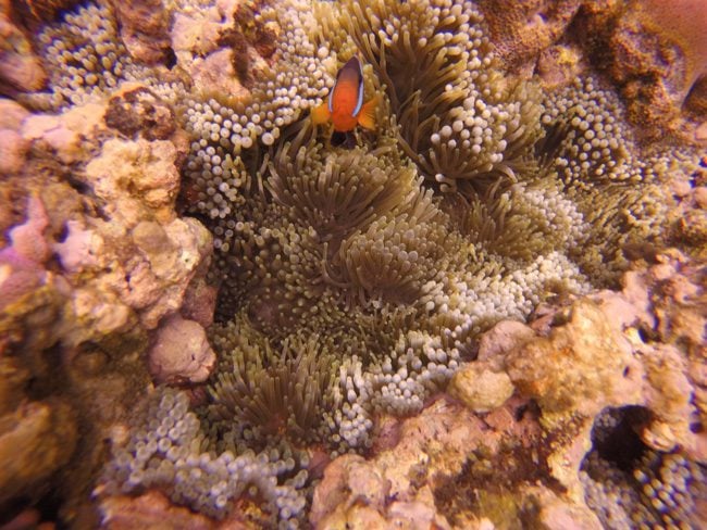 Tanna Island Vanuatu Blue Hole