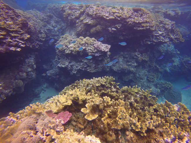 Tanna Island Vanuatu Blue Hole