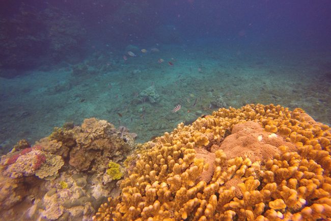 Tanna Island Vanuatu Blue Hole