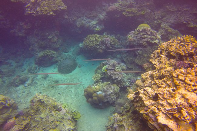 Tanna Island Vanuatu Blue Hole
