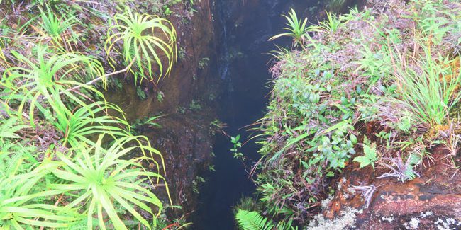 Temehani Plateau hike Raiatea Island French Polynesia lava tube waterfall