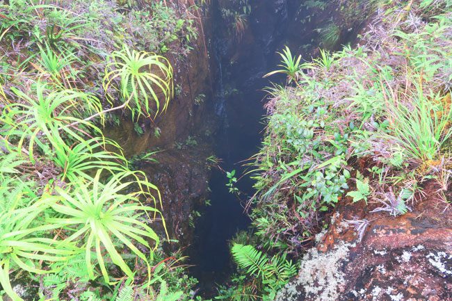 Temehani Plateau hike Raiatea Island French Polynesia lava tube waterfall