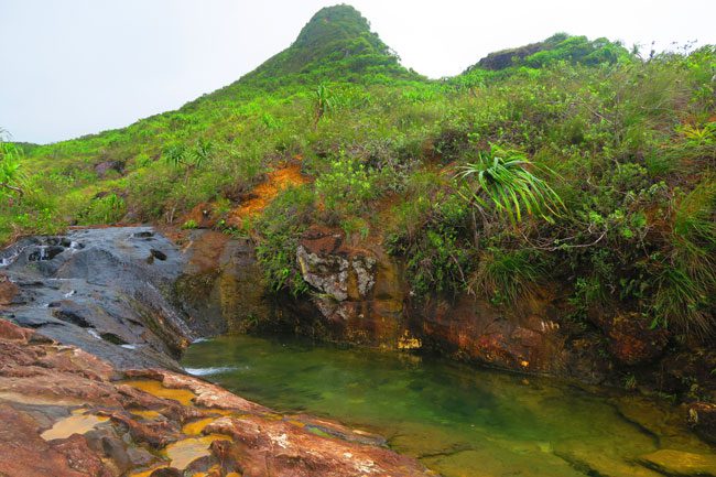 Temehani Plateau hike Raiatea Island French Polynesia waterhole lunch stop