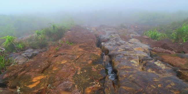 Temehani Plateau hike Raiatea river on lava tube