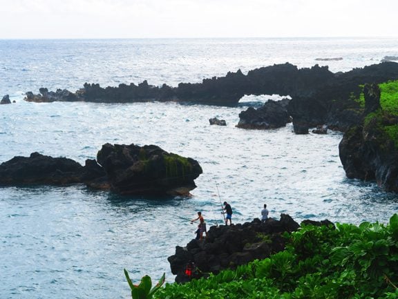Waianapanapa State Park - Maui - Hawaii
